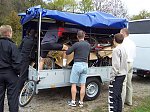78d40b8716b08951m.jpg
