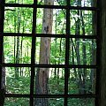 WOLFSCHANZE