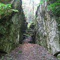 WOLFSCHANZE
