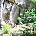 WOLFSCHANZE