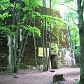 WOLFSCHANZE