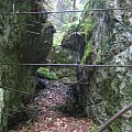 WOLFSCHANZE