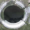 WOLFSCHANZE