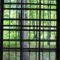 WOLFSCHANZE