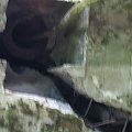 WOLFSCHANZE
