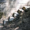 WOLFSCHANZE