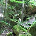 WOLFSCHANZE