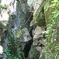WOLFSCHANZE