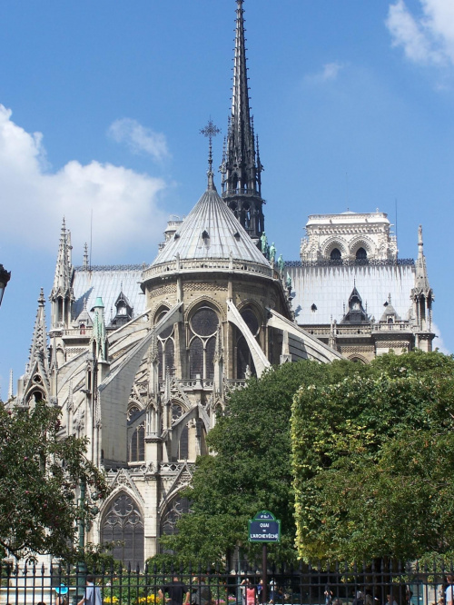 Katedra Notre Dame #Paryż