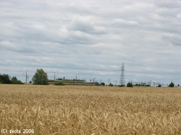 16.07.2006 - EU07 z poc. pośp. P68503 Wrocław-Swinoujście na łącznicy 822 (Rzepin-Drzeńsko)