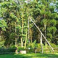 Na podwórku leśniczówki Koła Łowieckiego Azotrop w Bałtowie #żuraw #Bałtów #leśniczówka