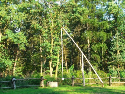 Na podwórku leśniczówki Koła Łowieckiego Azotrop w Bałtowie #żuraw #Bałtów #leśniczówka