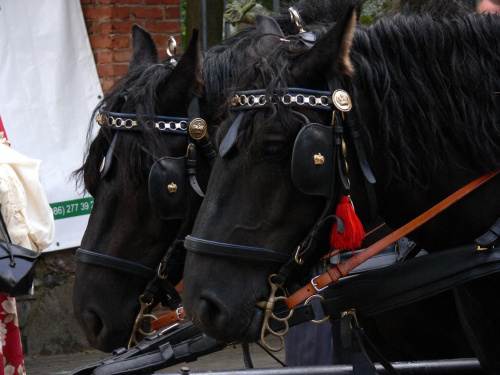 Święto Chleba Ciechanowiec 2006