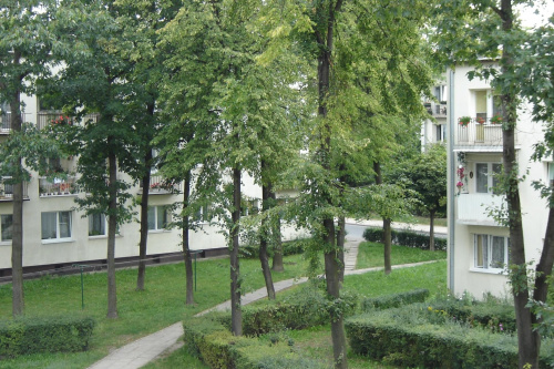 widok zza mojego OKNA