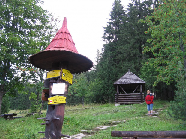 Rozdroże szlaków w Trzech Studniczkach. Zaczynamy #GóryTatry