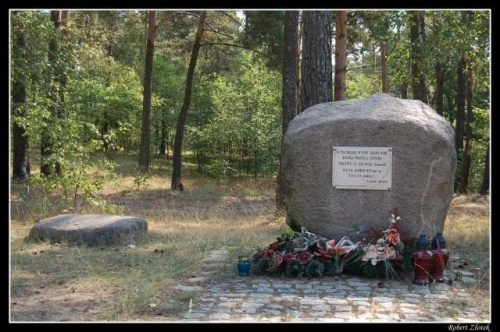Obelisk upamiętniający katastrofę lotniczą pod Poznaniem w dniu 07.06.1977 r.