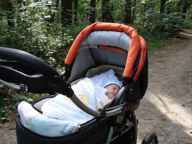 Pierwszy spacer. ładna pogoda, przespała całość. #majka #spacer #wózek