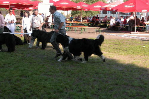 LIDZBARK 2006