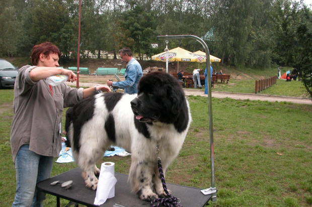 LIDZBARK 2006