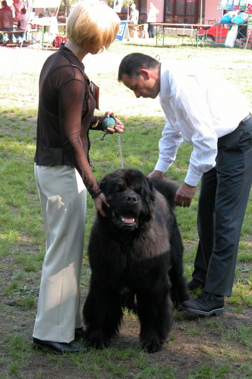 LIDZBARK 2006