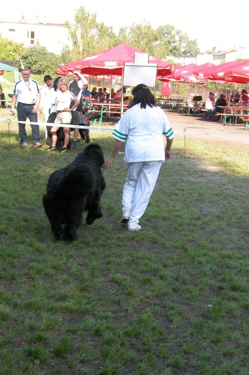 LIDZBARK 2006