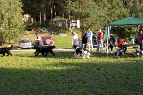 LIDZBARK 2006