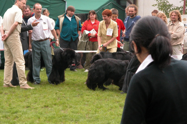 LIDZBARK 2006