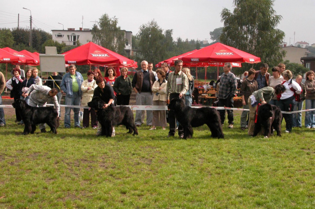 LIDZBARK 2006