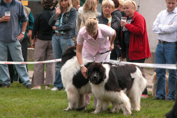 LIDZBARK 2006