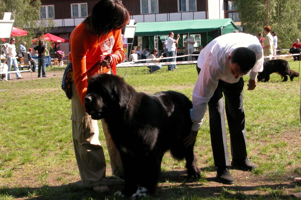 LIDZBARK 2006