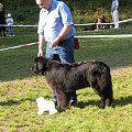 LIDZBARK 2006