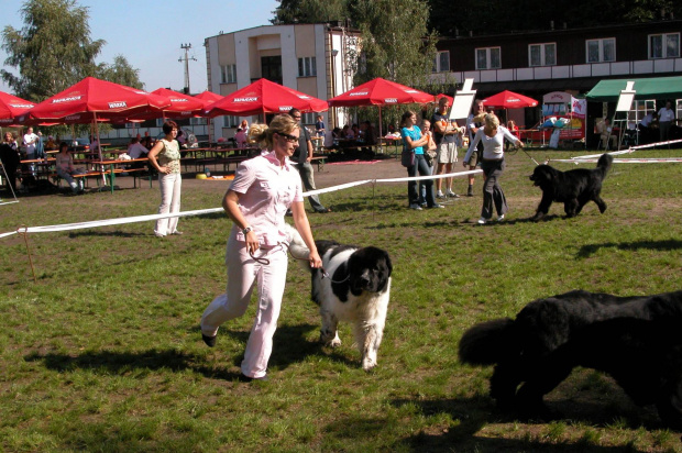 LIDZBARK 2006