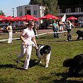 LIDZBARK 2006