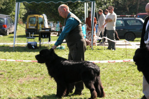 LIDZBARK 2006