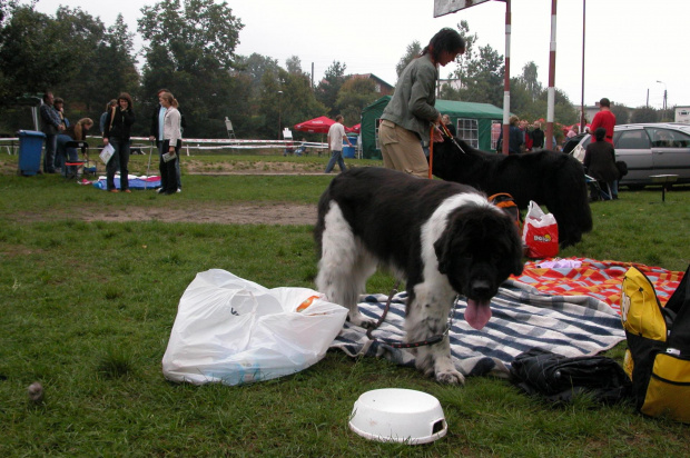 LIDZBARK 2006