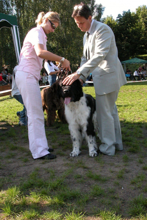 LIDZBARK 2006