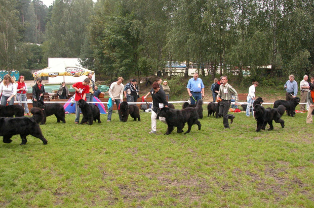 LIDZBARK 2006