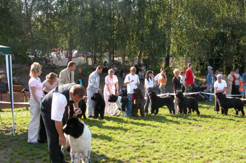 LIDZBARK 2006