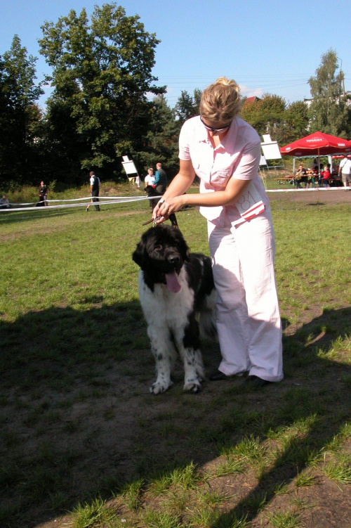 LIDZBARK 2006