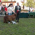 LIDZBARK 2006