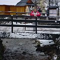 Zakopane-strumyk-czemu nie??