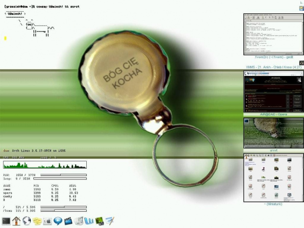Mój dektop @ Arch - FVWM, conky, XMMS, Opera 9.01