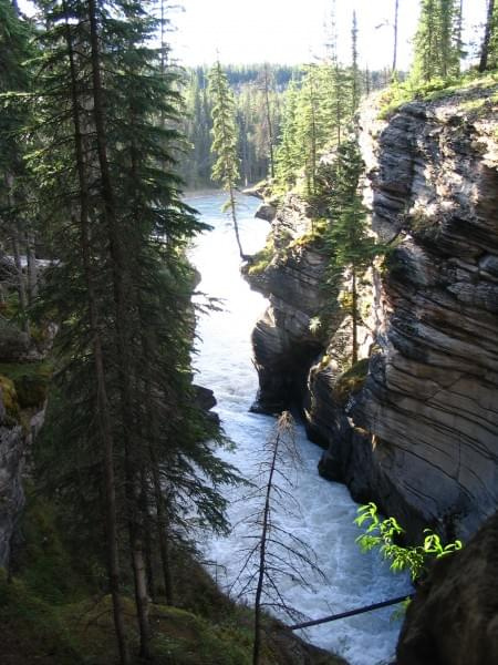 Athabasca Falls, Alberta, Canada VII 2006