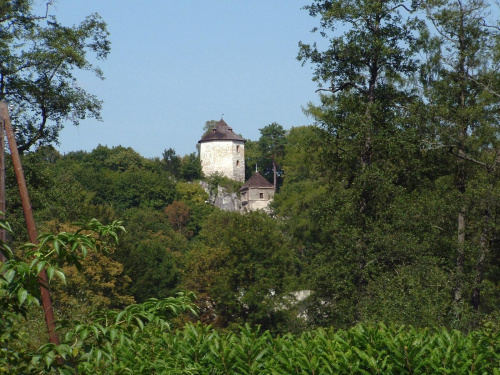 Wierza i brama -resztki ruin zamku Ojcowskiego
