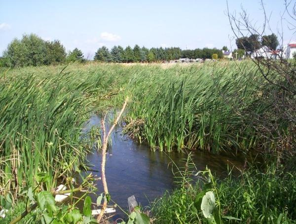 Wyciecka rowerowa, 7 września 2006