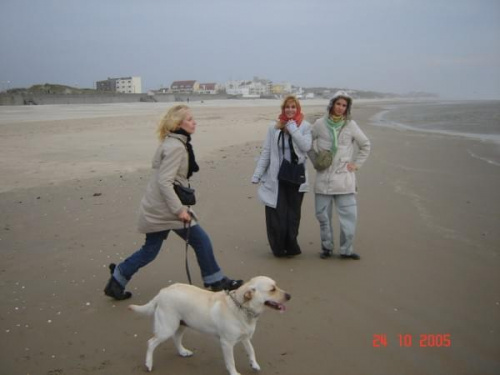 Stella-Plage - plaża w jesień czyli straszliwy wiatr, chłodno i pustki ...