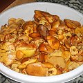 maślaki