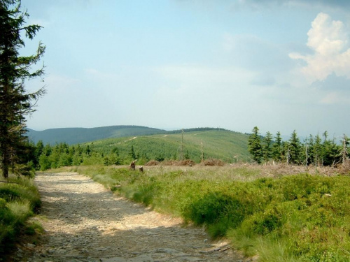 #beskid #beskidy #gory #góry #szlaki #widoki