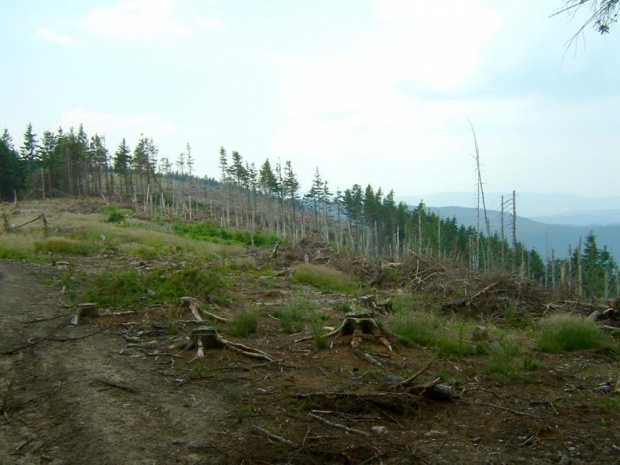 #beskid #beskidy #gory #góry #szlaki #widoki