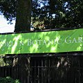Ogrod Botaniczny na Brooklinie